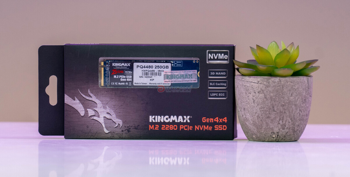 SSD Kingmax PQ4480