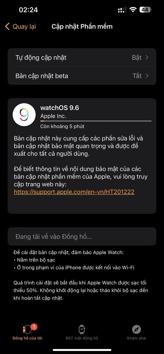 update watchOS 9.6