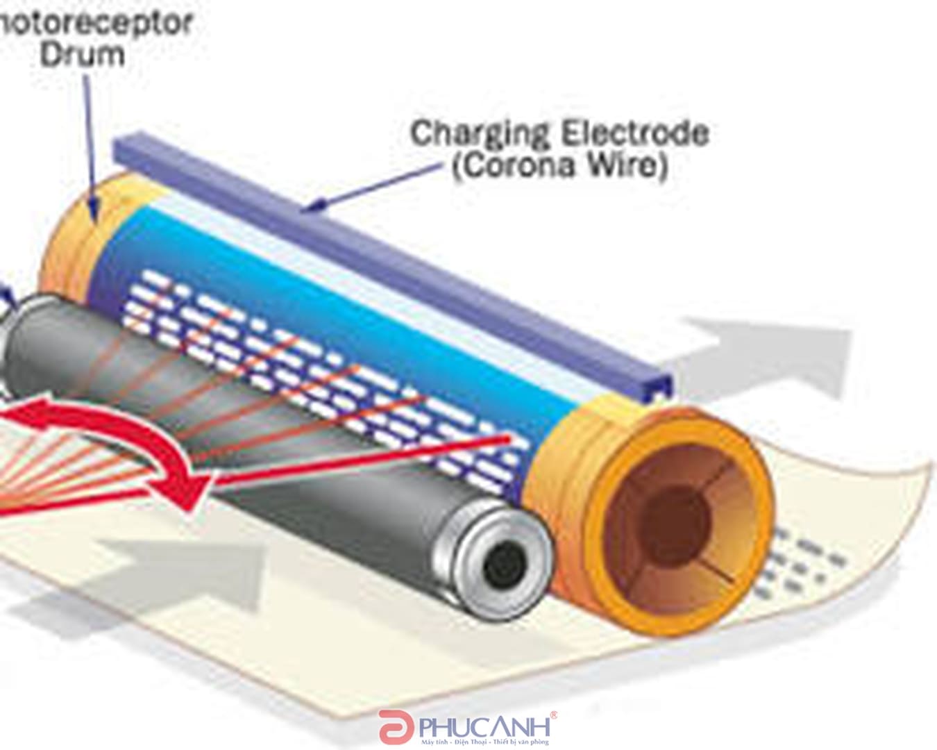 Nguyên lý hoạt động của máy in laser màu