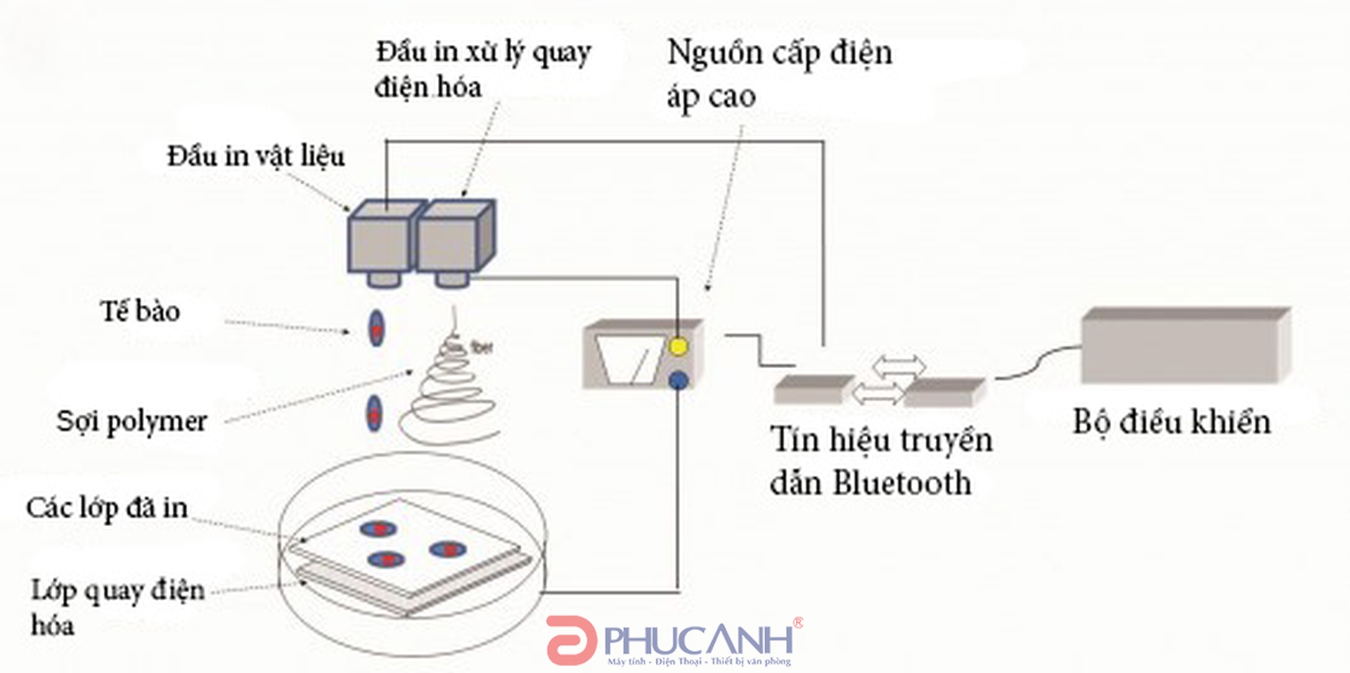 Nguyên lý hoạt động của máy in phun màu